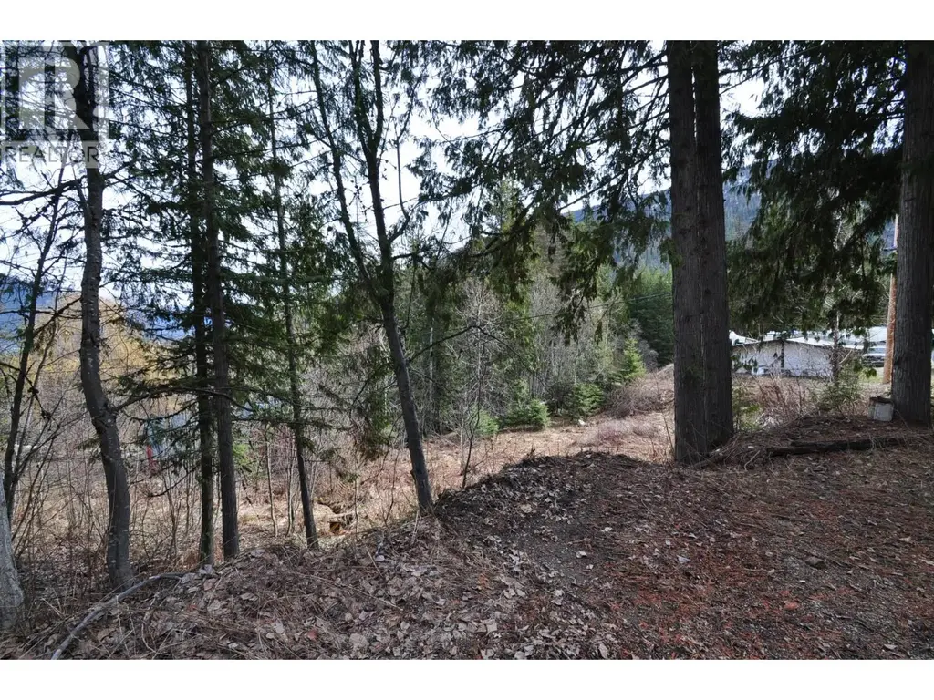 2835 Silver King Road, Nelson